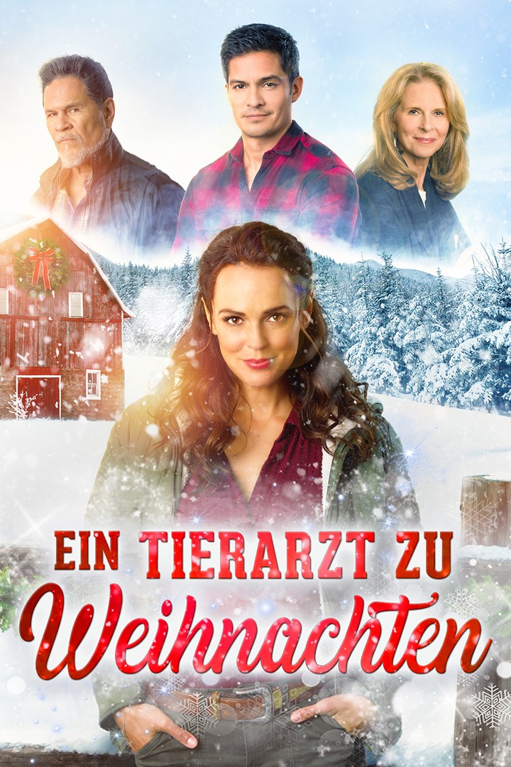 Ein Tierarzt zu Weihnachten