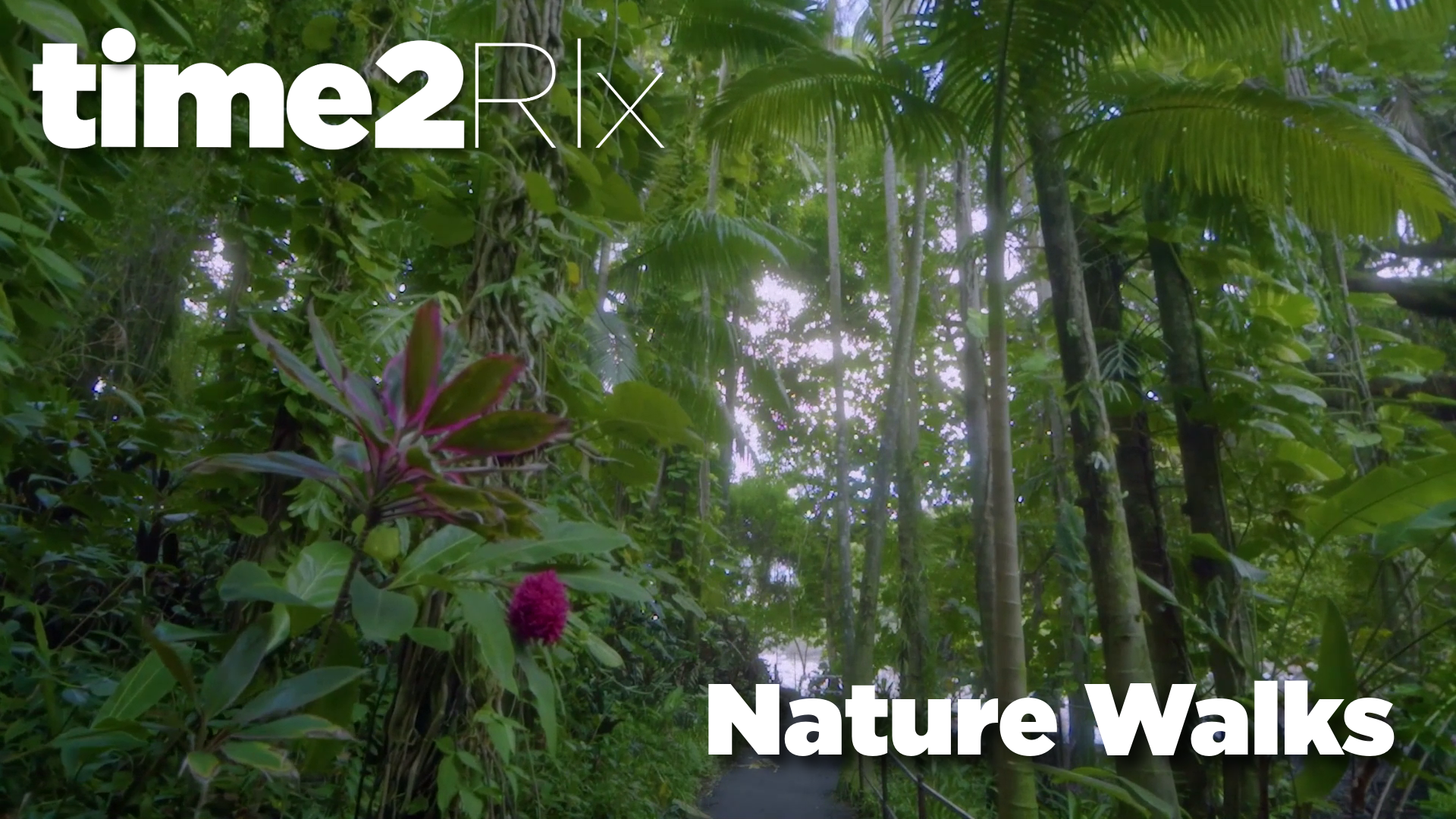 time2Rlx Nature Walks