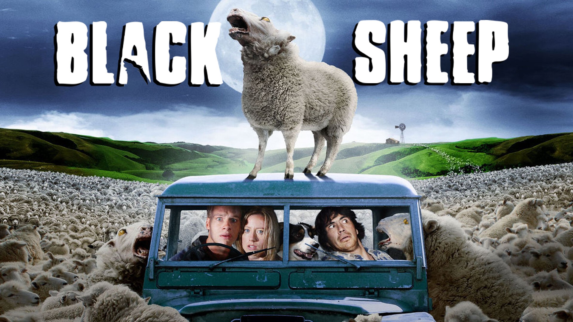 Black Sheep