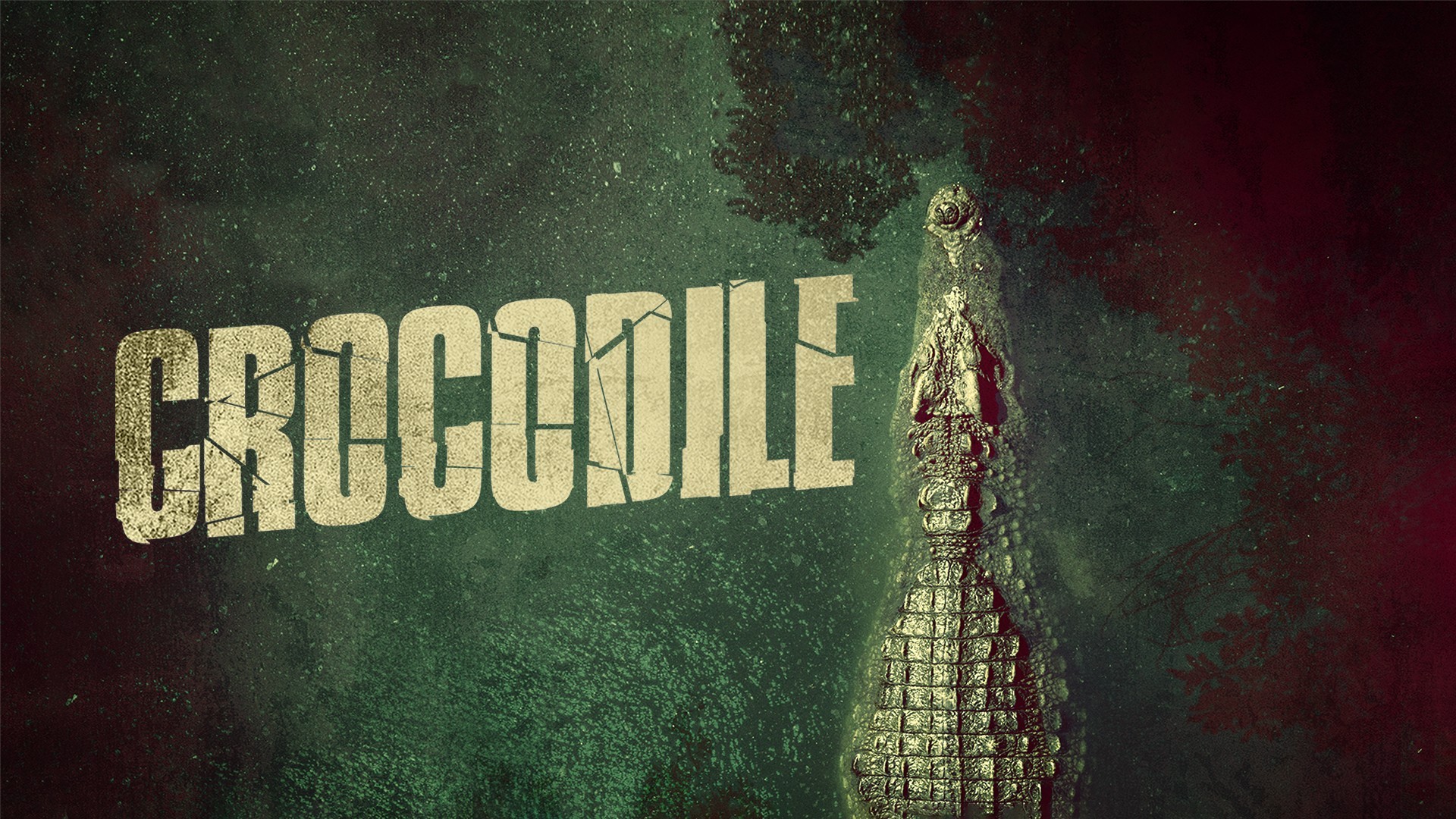 Crocodile